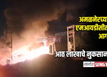अमळनेरच्या एमआयडीसीत आग ; आठ लाखाचे प्लास्टिक भंगार जळून खाक