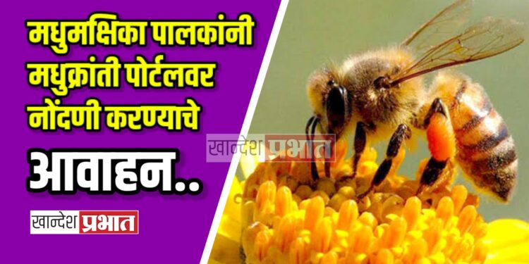 मधुमक्षिका पालकांनी मधुक्रांती पोर्टलवर नोंदणी करण्याचे आवाहन