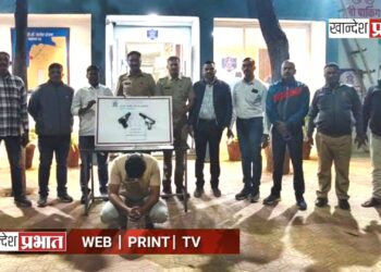 एअरगन बाळगत दहशत माजवणाऱ्या तरुणाला अटक ; एमआयडीसी पोलिसांची कामगिरी