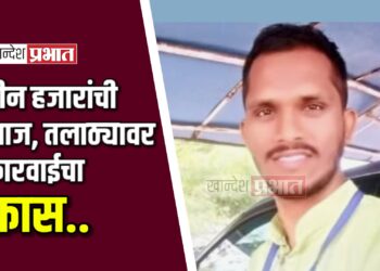 तीन हजारांची लाज घेताना तलाठ्यावर कारवाई