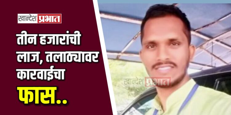 तीन हजारांची लाज घेताना तलाठ्यावर कारवाई