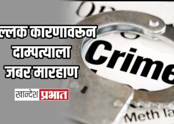 शुल्लक कारणावरून दाम्पत्याला जबर मारहाण ; अमळनेर तालुक्यातील घटना