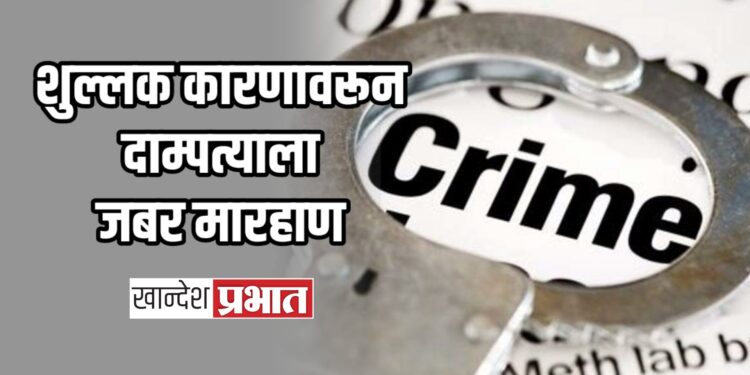 शुल्लक कारणावरून दाम्पत्याला जबर मारहाण ; अमळनेर तालुक्यातील घटना