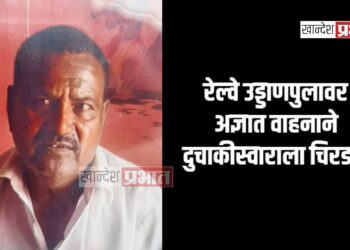 रेल्वे उड्डाणपुलावर अज्ञात वाहनाने दुचाकीस्वाराला चिरडले ; जळगावातील घटना