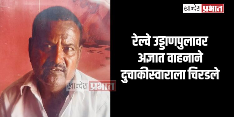 रेल्वे उड्डाणपुलावर अज्ञात वाहनाने दुचाकीस्वाराला चिरडले ; जळगावातील घटना