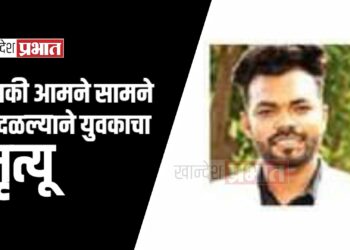 दुचाकी आमने सामने आदळल्याने युवकाचा मृत्यू