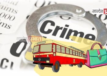 महिलेच्या पर्समधून ९५ हजाराचे दागिने लांबविले