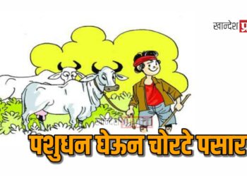 पशुधन घेऊन चोरटे पसार : ३ गायींसह ३ बैलांची चोरी