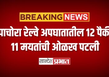 पाचोरा रेल्वे अपघातातील १२ पैकी ११ मयतांची ओळख पटली