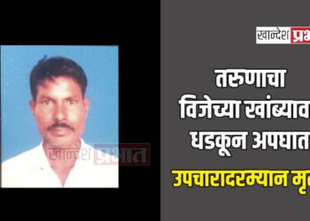 तरुणाचा विजेच्या खांब्यावर धडकून अपघात ; उपचारादरम्यान मृत्यू