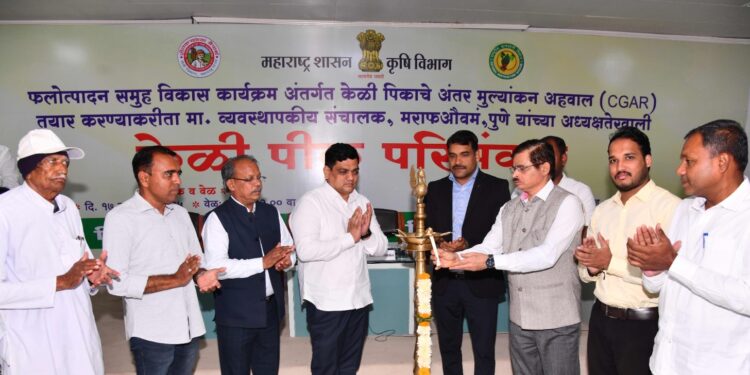 केळी क्लस्टरच्या अंमलबजावणी नियोजनासाठी जैन हिल्स येथे ‘केळी पीक चर्चासत्र’