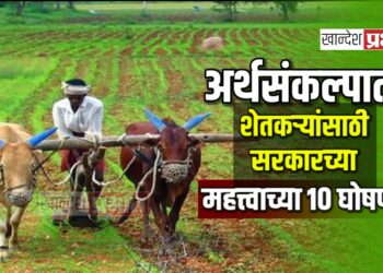 अर्थसंकल्पात शेतकऱ्यांसाठी सरकारच्या महत्त्वाच्या १० घोषणा