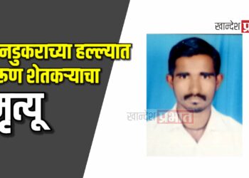 रानडुकराच्या हल्ल्यात तरूण शेतकऱ्याचा मृत्यू ; चाळीसगाव तालुक्यातील घटना