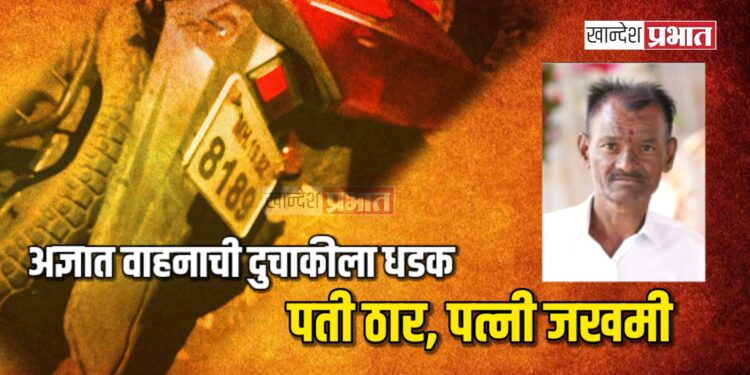 अज्ञात वाहनाची दुचाकीला धडक ; पती ठार, पत्नी जखमी