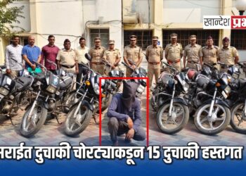 दुचाकीं चोरी करणाऱ्या सराईत गुन्हेगाराला अटक ; १५ दुचाकी हस्तगत