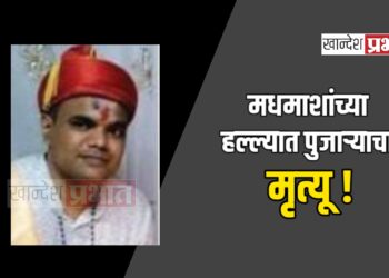 मधमाशांच्या हल्ल्यात पुजाऱ्याचा मृत्यू ! ; अमळनेर तालुक्यातील घटना
