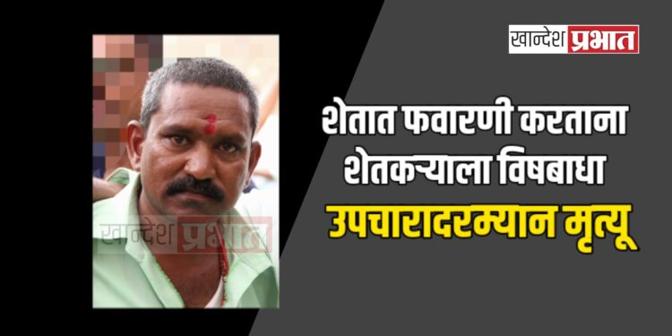 शेतात फवारणी करताना शेतकऱ्याला विषबाधा ; उपचारादरम्यान मृत्यू