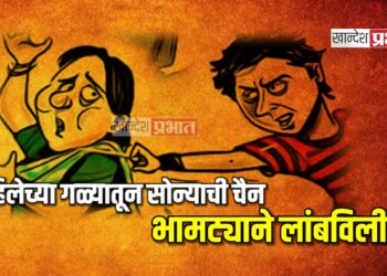वृद्ध महिलेच्या गळ्यातून सव्वा लाखांची सोन्याची चैन भामट्याने लांबविली !