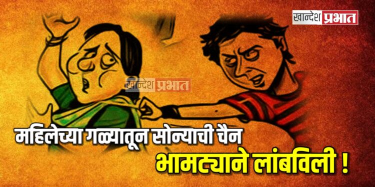 वृद्ध महिलेच्या गळ्यातून सव्वा लाखांची सोन्याची चैन भामट्याने लांबविली !