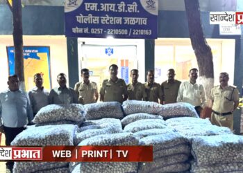 चोरी केलेला पाच लाखांचा लसूण पोलिसांनी शोधून काढला