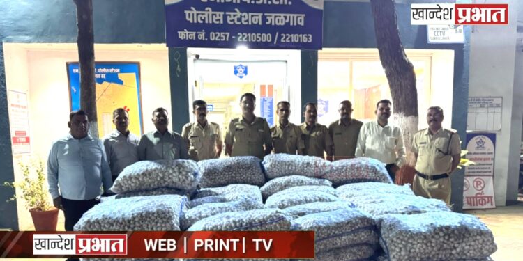 चोरी केलेला पाच लाखांचा लसूण पोलिसांनी शोधून काढला