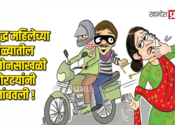 वृद्ध महिलेच्या गळ्यातील सोनसाखळी चोरटयांनी लांबवली !