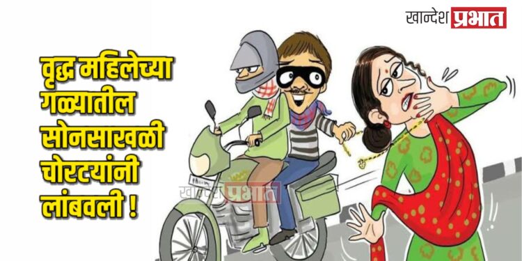 वृद्ध महिलेच्या गळ्यातील सोनसाखळी चोरटयांनी लांबवली !