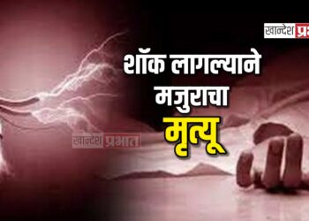 महावितरणचे काम करताना शॉक लागून मजुराचा मृत्यू