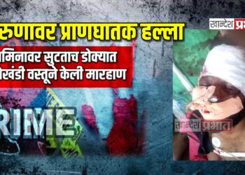 तरुणावर प्राणघातक हल्ला ; जामिनावर सुटताच डोक्यात लोखंडी वस्तूने केली मारहाण