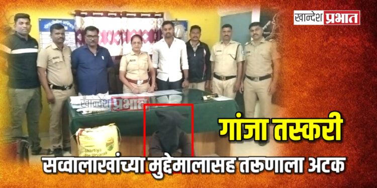 गांजा तस्करी : सव्वालाखांच्या मुद्देमालासह तरूणाला अटक