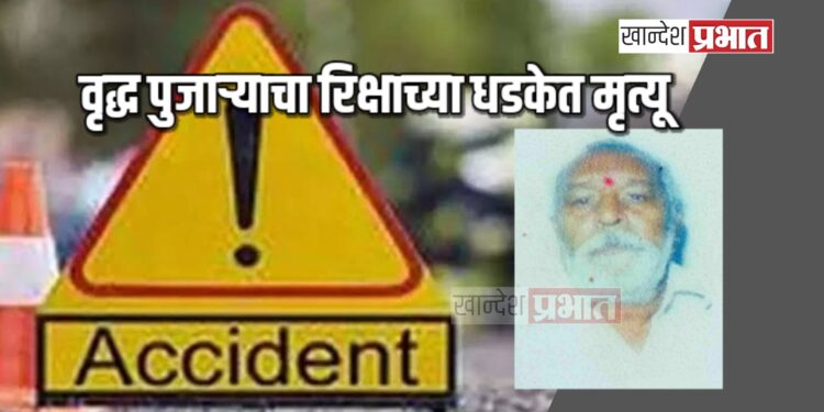 वृद्ध पुजाऱ्याचा रिक्षाच्या धडकेत मृत्यू ; जळगाव तालुक्यातील घटना
