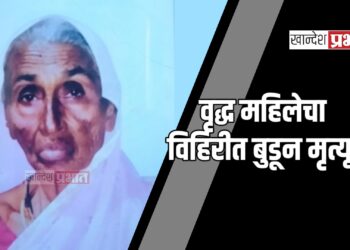 वृद्ध महिलेचा विहिरीत बुडून मृत्यू ; धरणगाव तालुक्यातील घटना