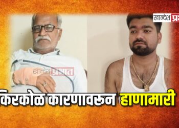 किरकोळ कारणावरून हाणामारी, तिघांना बेदम मारहाण