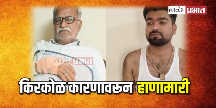 किरकोळ कारणावरून हाणामारी, तिघांना बेदम मारहाण