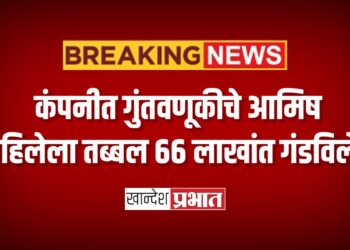 कंपनीत गुंतवणूकीचे आमिष ; महिलेला तब्बल ६६ लाखांत गंडविले !
