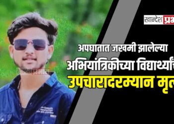 अपघातात जखमी झालेल्या अभियांत्रिकीच्या विद्यार्थ्यांचा उपचारादरम्यान मृत्यू