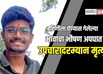 बहिणीला घेण्यास गेलेल्या भावाचा भीषण अपघात, उपचारादरम्यान मृत्यू !