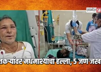 शेतकऱ्यांवर मधमाश्यांचा हल्ला, ५ जण जखमी