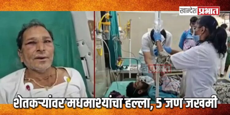 शेतकऱ्यांवर मधमाश्यांचा हल्ला, ५ जण जखमी