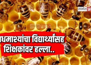 मधमाश्यांचा विद्यार्थ्यांसह शिक्षकांवर हल्ला, ८ जण जखमी