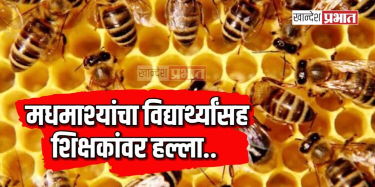 मधमाश्यांचा विद्यार्थ्यांसह शिक्षकांवर हल्ला, ८ जण जखमी