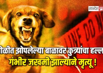 झोळीत झोपलेल्या बाळावर कुत्र्यांचा हल्ला ; गंभीर जखमी झाल्याने मृत्यू !