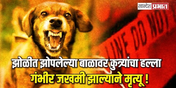 झोळीत झोपलेल्या बाळावर कुत्र्यांचा हल्ला ; गंभीर जखमी झाल्याने मृत्यू !
