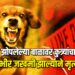 झोळीत झोपलेल्या बाळावर कुत्र्यांचा हल्ला ; गंभीर जखमी झाल्याने मृत्यू !