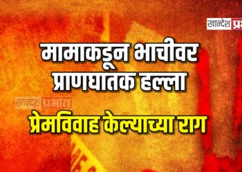 मामाकडून भाचीवर प्राणघातक हल्ला, प्रेमविवाह केल्याच्या राग