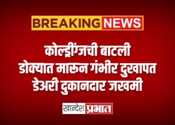 कोल्ड्रींग्जची बाटली डोक्यात मारून गंभीर दुखापत ; डेअरी दुकानदार जखमी