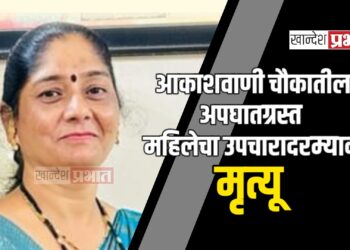 आकाशवाणी चौकातील अपघातग्रस्त महिलेचा उपचारादरम्यान मृत्यू
