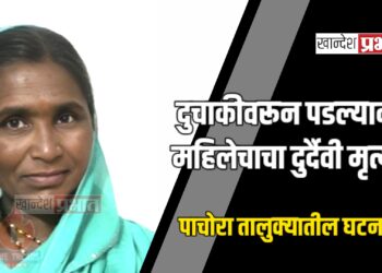 दुचाकीवरून पडल्याने महिलेचा दुर्दैवी मृत्यू ; पाचोरा तालुक्यातील घटना