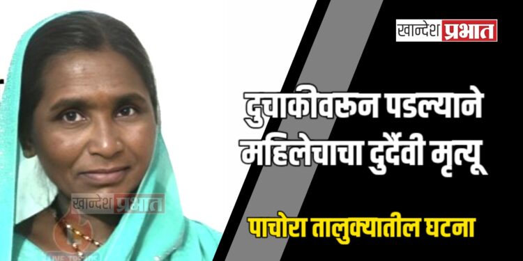 दुचाकीवरून पडल्याने महिलेचा दुर्दैवी मृत्यू ; पाचोरा तालुक्यातील घटना