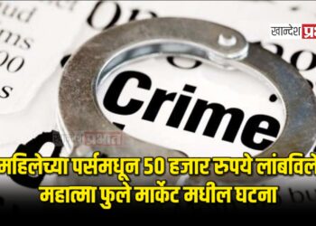 महिलेच्या पर्समधून ५० हजार रुपये लांबविले ; महात्मा फुले मार्केट मधील घटना